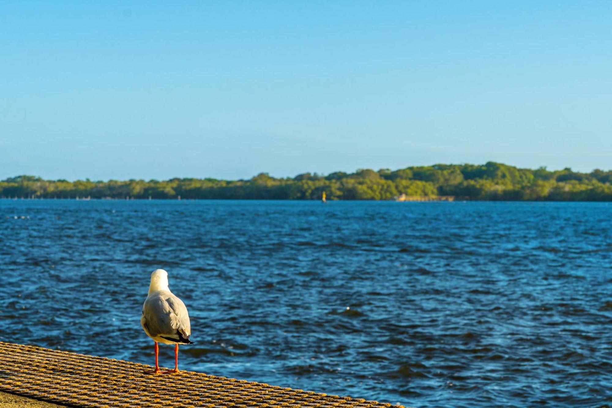 Riverside Holiday Apartments Ballina Exteriér fotografie